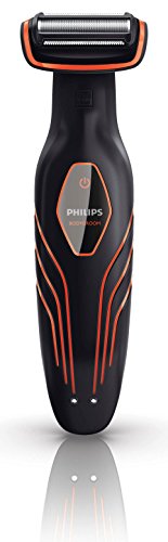 Philips BG2026/32...