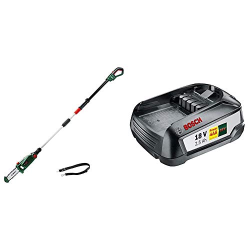 Bosch Akku...