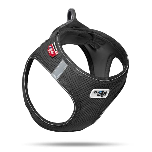 Vest Harness D-Ring...