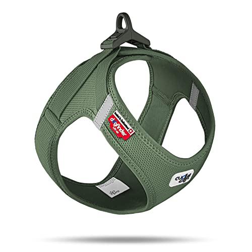 Vest Harness curli...